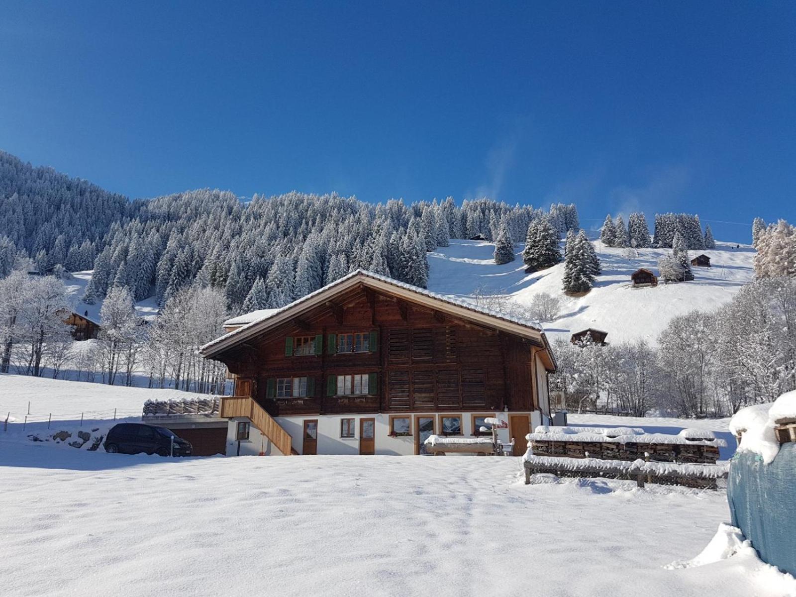 Bnb Fellacher Adelboden Buitenkant foto